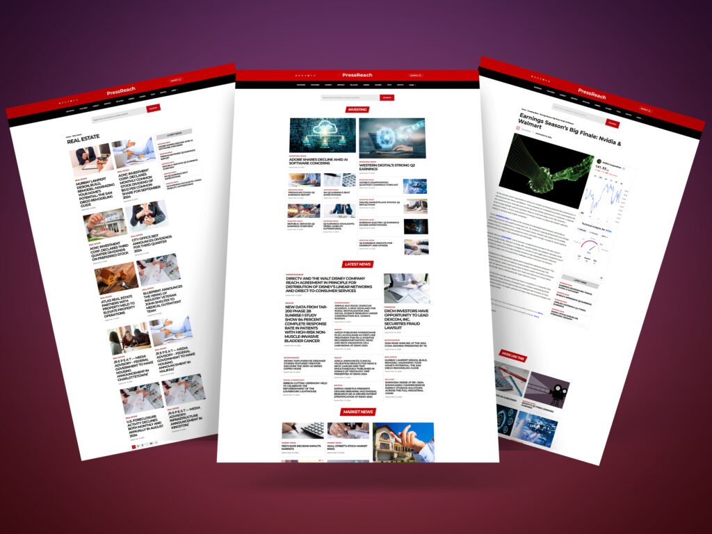 PressReach: Revolutionizing Press Release Distribution with Custom-Built Solutions